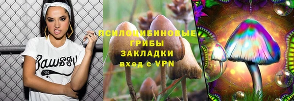 марки lsd Каменногорск