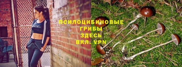 скорость mdpv Каменка